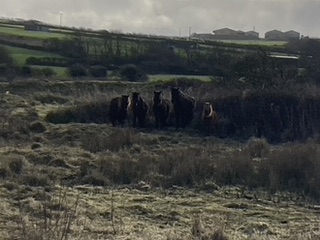 Quotations for works at The Pound, Gwithian